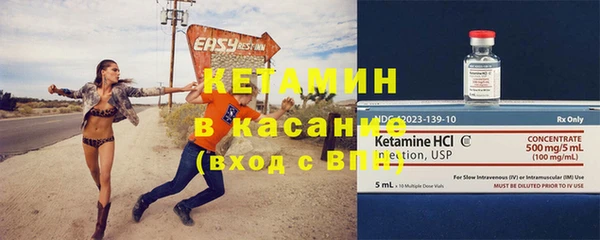 гидра Кодинск