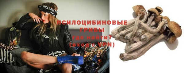 гидра Кодинск