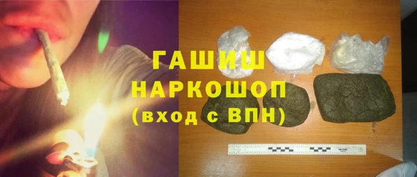 гидра Кодинск