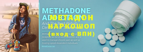 гидра Кодинск