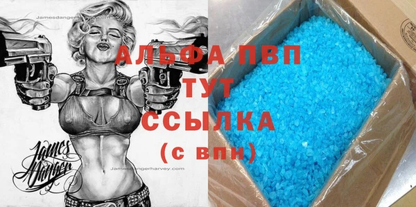 гидра Кодинск