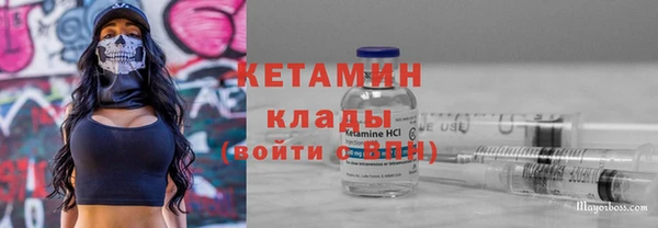 гидра Кодинск