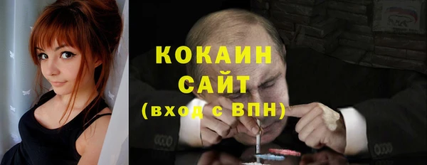 гидра Кодинск