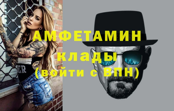 гидра Кодинск