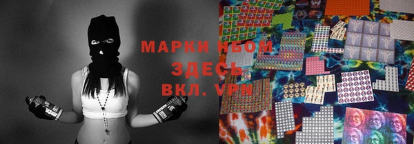 гидра Кодинск