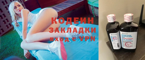 гидра Кодинск