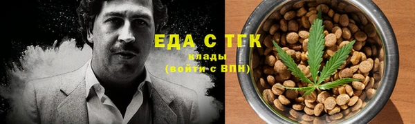 гидра Кодинск