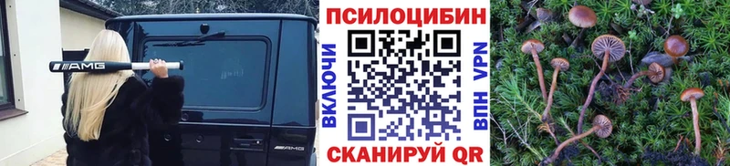 Галлюциногенные грибы Magic Shrooms Чухлома